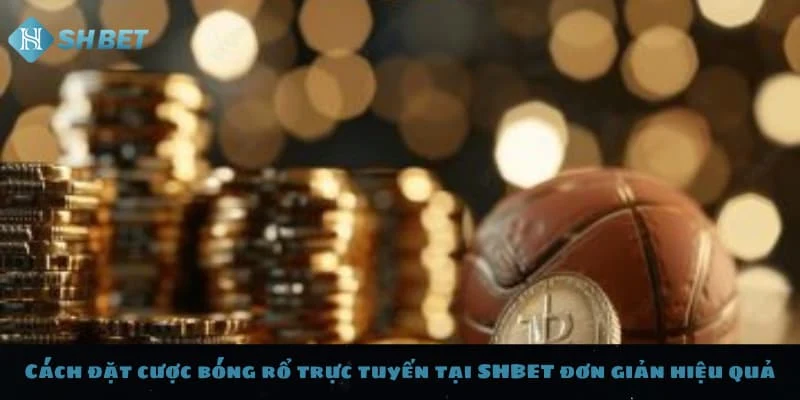 Cách Đặt Cược Bóng Rổ | Cẩm Nang Cá Cược NBA & Giải Khác 4 Cách đặt cược bóng rổ nâng cao tỷ lệ thắng