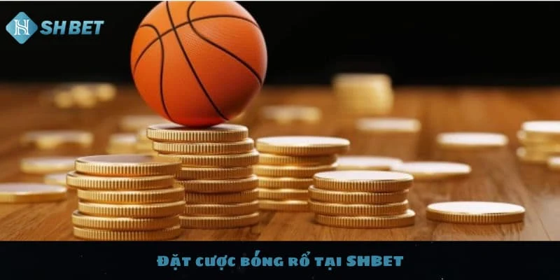 Cách Đặt Cược Bóng Rổ | Cẩm Nang Cá Cược NBA & Giải Khác 2 Nền tảng cần biết trước khi cá cược bóng rổ SHBET88