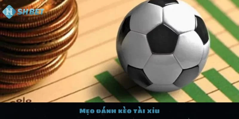 Mẹo Cá Cược Bóng Đá Trực Tuyến Cho Người Mới Bắt Đầu 3 Mẹo cá cược bóng đá trực tuyến dựa trên thông tin trước trận